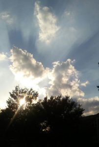 20160813_184054-1